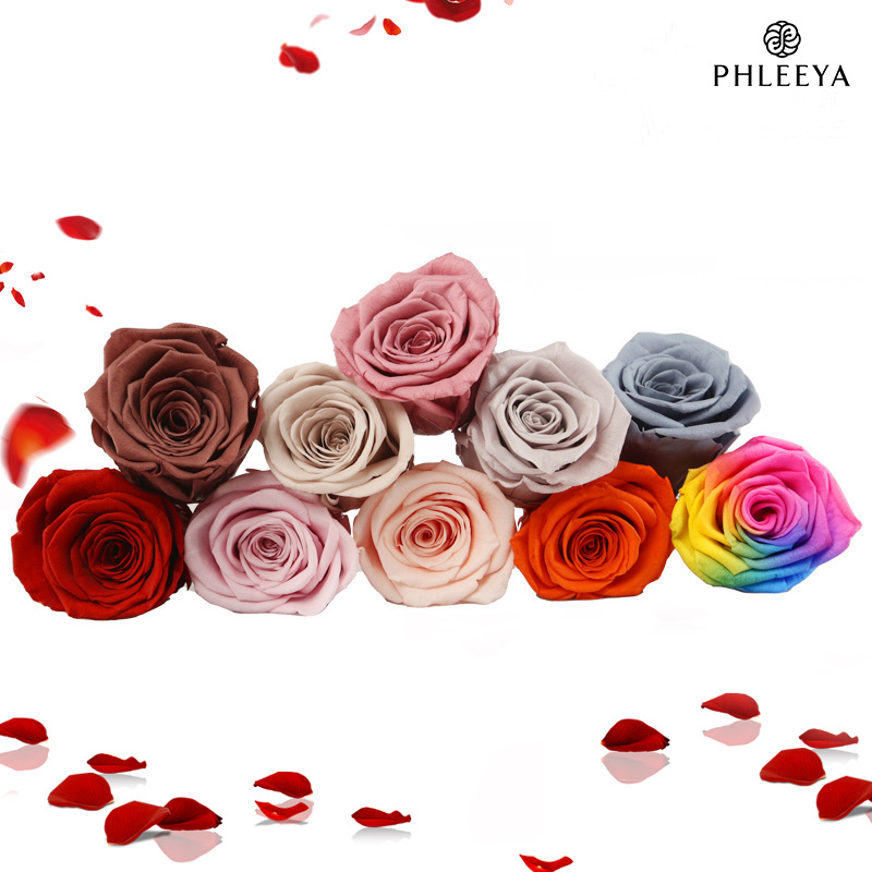 6 szt. Wiecznych Głów Róż, Duż – Wedding Supply Bulk recenzja i cena